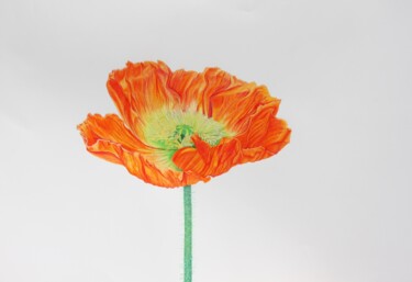 Painting titled "Good luck POPPY" by Eugenia Sternou, Original Artwork, Pencil