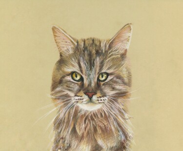 Drawing titled "Stubborn cat" by Eugenie Eremeichuk, Original Artwork, Conté
