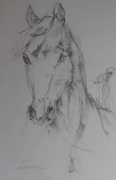 Dibujo titulada "Arabian horse" por Eva Gohier, Obra de arte original, Grafito