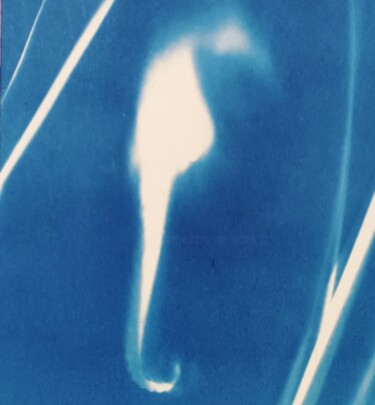 Отпечатки и Гравюры под названием "Hippocampus" - Eva Lacres, Подлинное произведение искусства, Цифровая печать Установлен н…