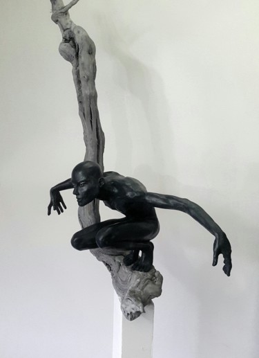 Sculpture intitulée "L'homme oiseau" par Eva Czaplicki, Œuvre d'art originale, Terre cuite