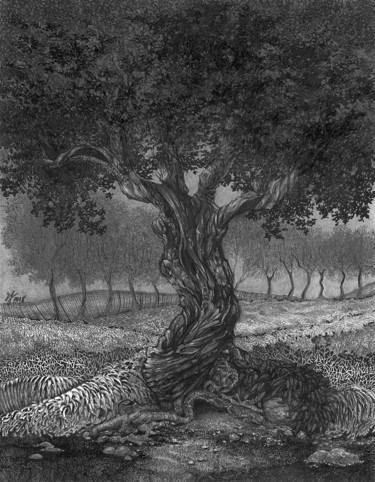 Dessin intitulée "Tree After The Storm" par Eva Maria Jones, Œuvre d'art originale, Graphite
