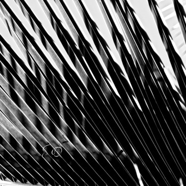 Photographie intitulée "Harpons" par Eric Valery, Œuvre d'art originale, Photographie numérique