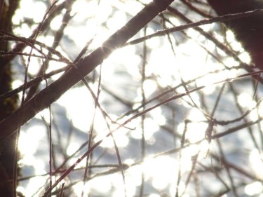 Photographie intitulée "crépitement" par Caroline Valnet, Œuvre d'art originale