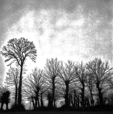 Fotografie mit dem Titel "hiver en normandie3" von Gilbert Le Vast, Original-Kunstwerk, Analog Fotografie