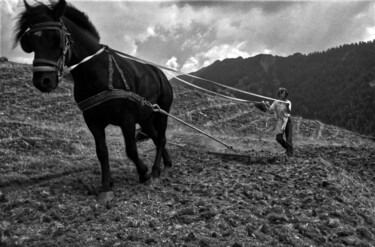 Fotografía titulada "cheval de mérens" por Gilbert Le Vast, Obra de arte original, Fotografía analógica