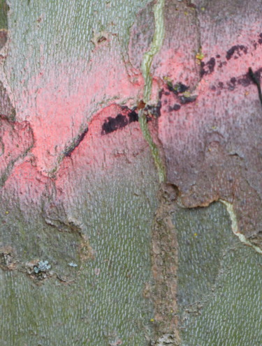 Photographie intitulée "LE BAISER EN ROSE-3…" par Eve Cloarec, Œuvre d'art originale, Photographie numérique