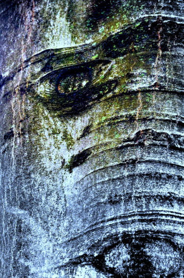Fotografía titulada "L'arbre qui se tait…" por Eve Cloarec, Obra de arte original, Fotografía digital