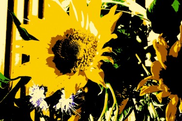 Photographie intitulée "Dernier soleil pour…" par Eve Cloarec, Œuvre d'art originale, Photographie manipulée