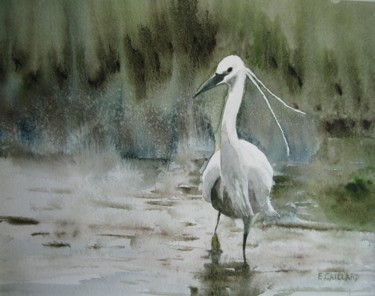 Peinture intitulée "aigrette.jpg" par E.Caillard, Œuvre d'art originale, Aquarelle