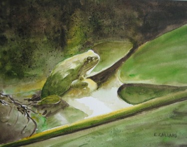 Peinture intitulée "grenouille-aquarell…" par E.Caillard, Œuvre d'art originale, Aquarelle