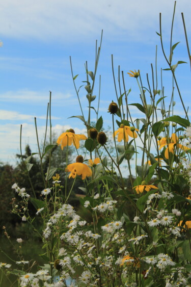 Photography titled "Fin d' été dans les…" by Evelyne Descamps, Original Artwork