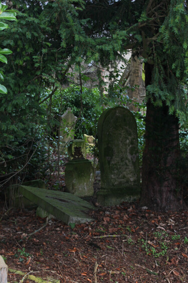 Photography titled "Cimetière dormant" by Evelyne Descamps, Original Artwork