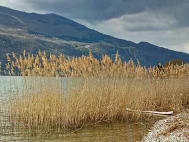 Fotografie mit dem Titel "Au bord du Lac" von Evelyne Descamps, Original-Kunstwerk