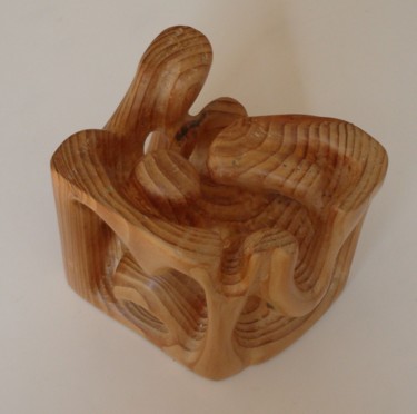 Skulptur mit dem Titel "pin cubick" von Evelyne Hervé, Original-Kunstwerk, Holz