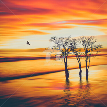 Digital Arts titled "Orange sunset." by Ievgeniia Bidiuk, Original Artwork, Digital Painting