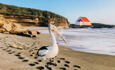 Digitale Kunst getiteld "Pelican." door Ievgeniia Bidiuk, Origineel Kunstwerk, Digitaal Schilderwerk