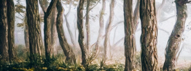 Digital Arts titled "Foggy morning in th…" by Ievgeniia Bidiuk, Original Artwork, Digital Painting