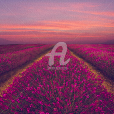Цифровое искусство под названием "Lavender field in p…" - Ievgeniia Bidiuk, Подлинное произведение искусства, Цифровая живоп…