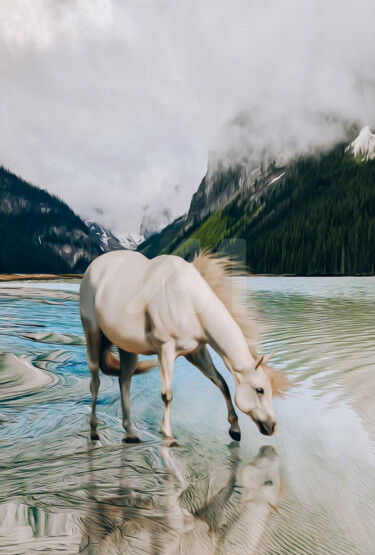 Digital Arts titled "White horse on the…" by Ievgeniia Bidiuk, Original Artwork, Digital Painting