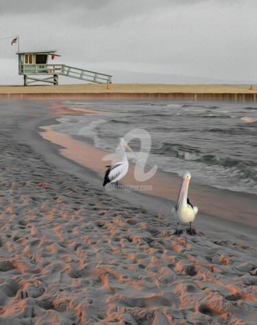 Цифровое искусство под названием "Two pelicans on a s…" - Ievgeniia Bidiuk, Подлинное произведение искусства, Цифровая живоп…