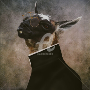 Digitale Kunst mit dem Titel "Portrait of a llama…" von Ievgeniia Bidiuk, Original-Kunstwerk, Digitale Malerei