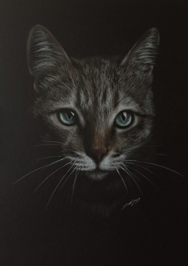 Dessin intitulée "Gray cat" par Evgeniy Karpenko, Œuvre d'art originale, Crayon