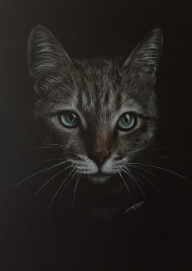 Disegno intitolato "Gray cat" da Evgeniy Karpenko, Opera d'arte originale, Matita