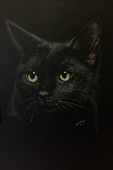 Drawing titled "Black cat" by Evgeniy Karpenko, Original Artwork, Pencil
