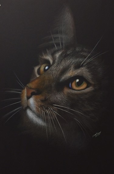 Dessin intitulée "Do cats live on the…" par Evgeniy Karpenko, Œuvre d'art originale, Conté