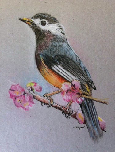 Рисунок под названием "Bird" - Evgeniy Karpenko, Подлинное произведение искусства, Цветные карандаши