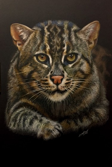 Dessin intitulée "Fisher cat" par Evgeniy Karpenko, Œuvre d'art originale, Conté