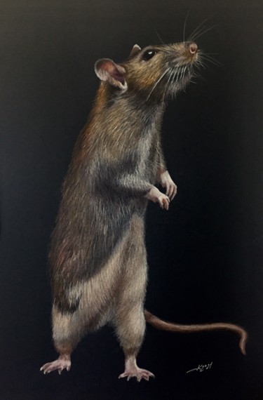 Dessin intitulée "Rat prince" par Evgeniy Karpenko, Œuvre d'art originale, Conté