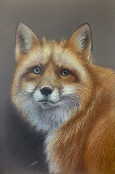 Drawing titled "Fox" by Evgeniy Karpenko, Original Artwork, Conté