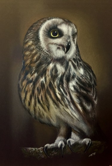 Dessin intitulée "Swamp owl" par Evgeniy Karpenko, Œuvre d'art originale, Conté