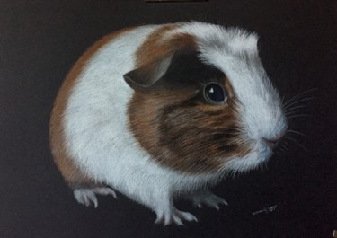 Dessin intitulée "The guinea pig" par Evgeniy Karpenko, Œuvre d'art originale, Conté