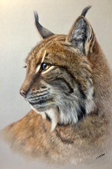 Dessin intitulée "Lynx" par Evgeniy Karpenko, Œuvre d'art originale, Crayon