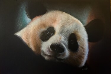 Drawing titled "Panda" by Evgeniy Karpenko, Original Artwork, Pencil