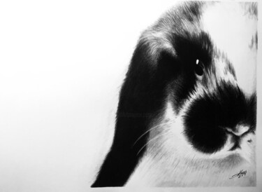 Dibujo titulada "Rabbit" por Evgeniy Karpenko, Obra de arte original, Carbón