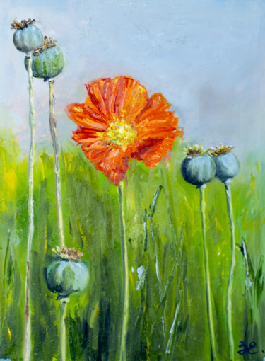 Painting titled "Poppies" by Evgeniya Zragevskaya, Original Artwork, Oil