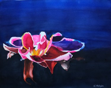 Painting titled "Seerose late evening" by Ewa Helzen, Original Artwork, Watercolor