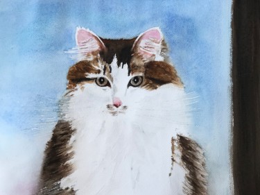 Painting titled "Sibirien cat" by Ewa Helzen, Original Artwork, Watercolor