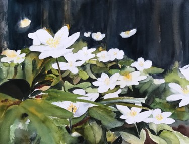 Painting titled "white anemones" by Ewa Helzen, Original Artwork, Watercolor
