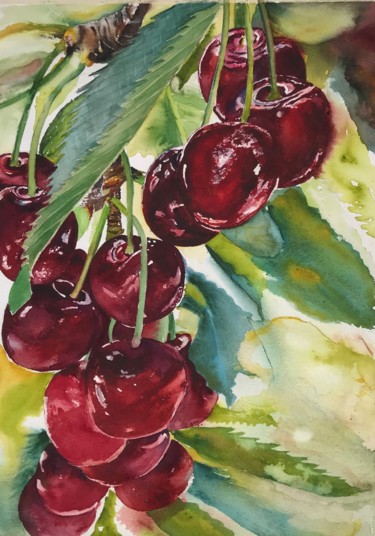 Painting titled "Cherries" by Ewa Helzen, Original Artwork, Watercolor