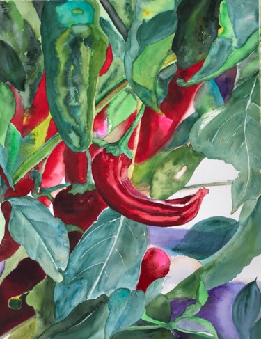 Painting titled "Pepperoni" by Ewa Helzen, Original Artwork, Watercolor