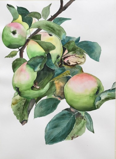 Malerei mit dem Titel "Apple twig" von Ewa Helzen, Original-Kunstwerk, Aquarell