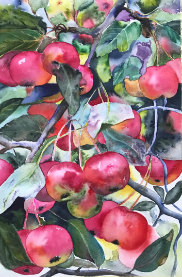 Painting titled "Paradise Apples" by Ewa Helzen, Original Artwork, Watercolor