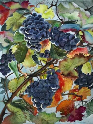 Painting titled "Lots of grapes" by Ewa Helzen, Original Artwork, Watercolor