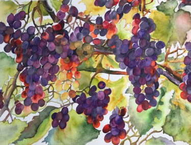 Painting titled "At the vineyard" by Ewa Helzen, Original Artwork, Watercolor
