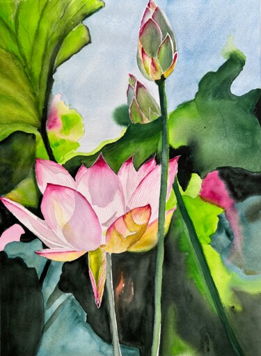 Painting titled "Pink lotus flowers" by Ewa Helzen, Original Artwork, Watercolor